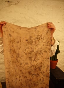 Image of Black Bean Bundle Dye No. 1