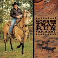 Image of Horses That Run Far Away CD