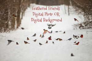 Image of Feathered Friends Digital Background