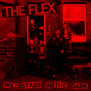 Image of THE FLEX - WILD STABS IN THE DARK