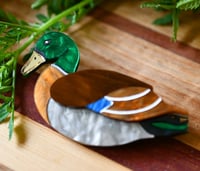Image 1 of Drake the Duck brooch 