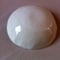 Image of White ceramic candy dish