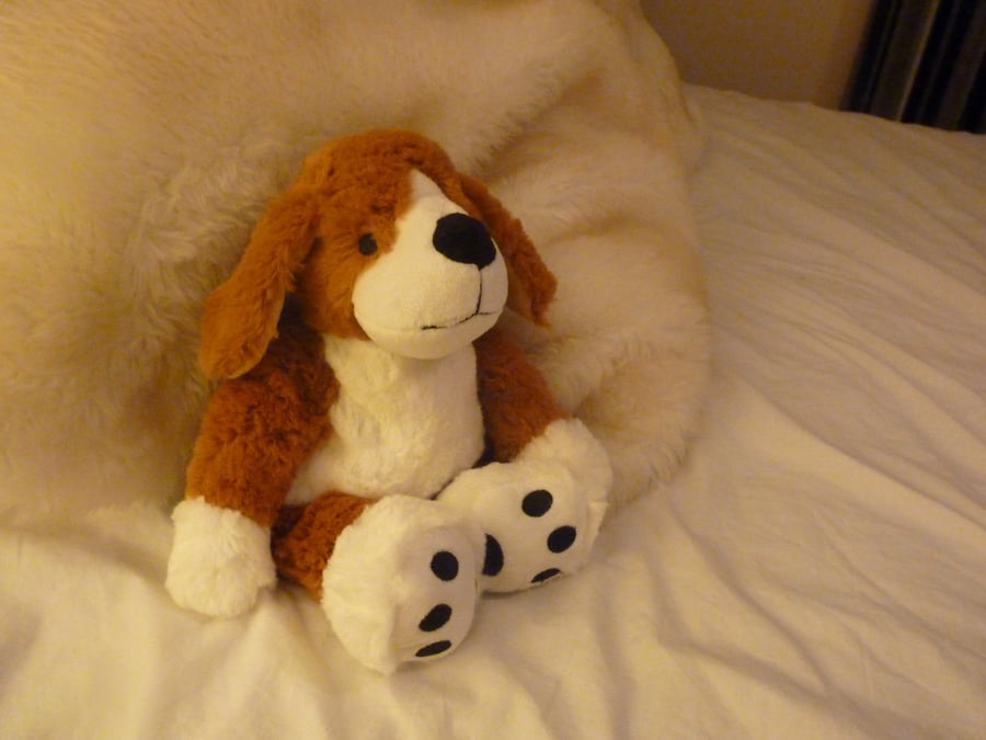 Image of Microwavable Dog