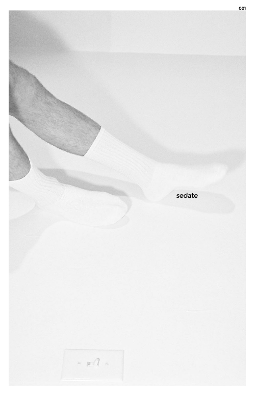 Image of Issue 001 of Sedate Zine "The Male Gaze"