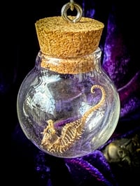 Image 3 of Mummified Seahorse Specimen - Earrings
