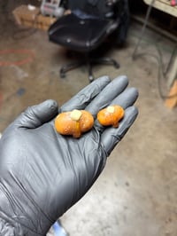 Image 3 of Original Pocket Potatoes & Pendants