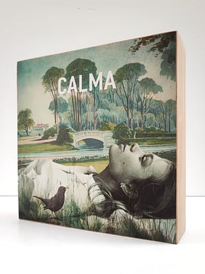 Image of Calma primavera.