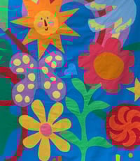 Image 2 of Sunshine commission 