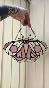 Image 1 of Moth pink