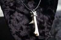 Image 2 of Dead Good spiky  Pheasant bone necklace