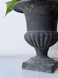 Image 3 of Vase Médicis en fonte