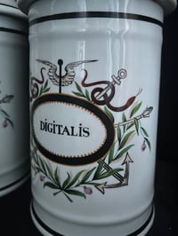 Image 2 of Très grand pot d’apothicaire, de la fin du XIXème siècle, porcelaine peinte: Digitalis