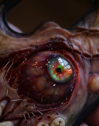 Image 16 of Custom phone cover for Samsung S25 Ultra