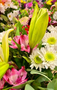 Image 1 of 🌿 Eden Bloom (LOCAL ONLY!)!