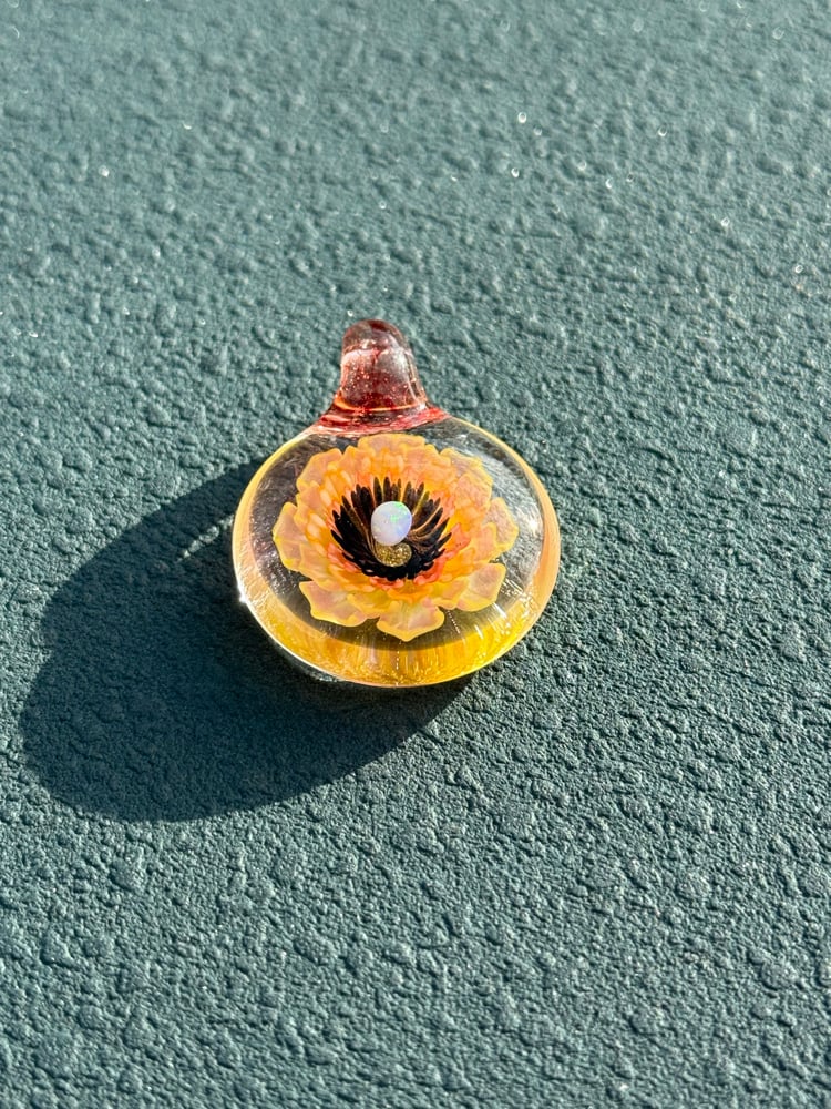 Image of  Pink and yellow opal flower
