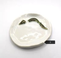 Image 4 of Croc Dish