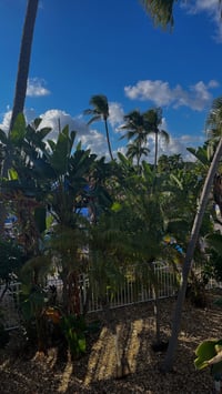 Image 4 of $100 TRIP PLANNING