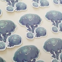 Moon Jellyfish