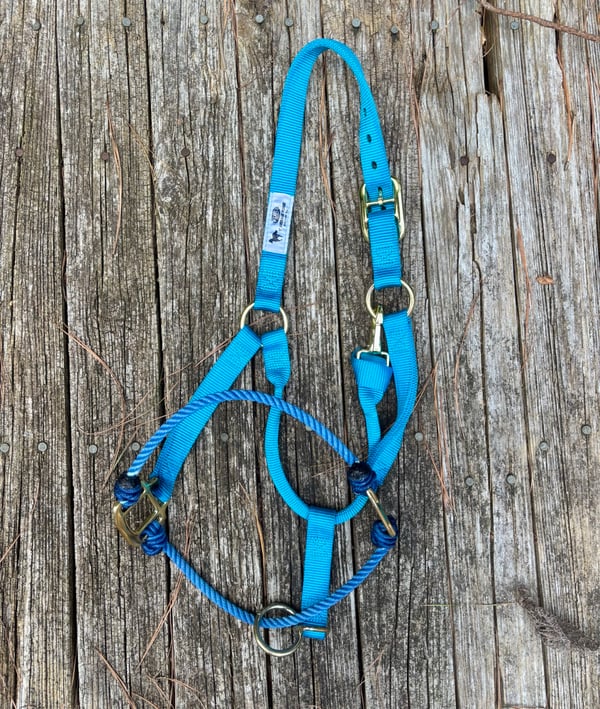 Image of Fusion Halter (Lariat nose on Weaver web)