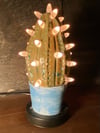 Army Green and White Themed Ceramic Cactus Night Light Lamp