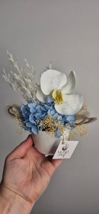 Image 1 of Preserved Flower Hydrangea Pots