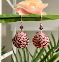 Image 1 of Purple Scallop Earrings E126