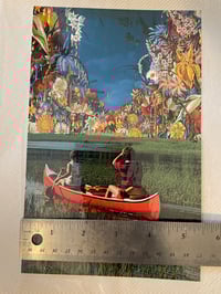 Image 2 of How do your flowers grow 