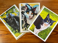 Image 1 of Cats Greeting Card 3Pack