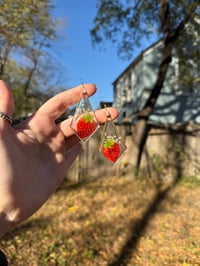 Image 4 of strawberry fields