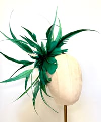 Image 2 of Teal/jade  feathers 