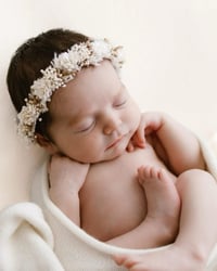 Image 2 of Newborn/Sitter Halo 312