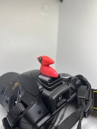 Image 4 of Northern Cardinal Hotshoe Cover