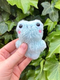 Image 3 of Flaff the Mini Fluffy Frog