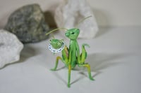 Image 1 of Girl Dinner