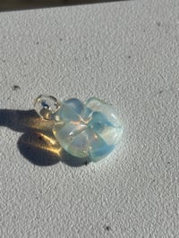 opal clover