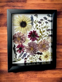 Image 4 of Sunflower, Cosmos, Chrysanthemum And Veronica Wildflowers in 8" X 10" Shadow Box (Item# 202207LS)