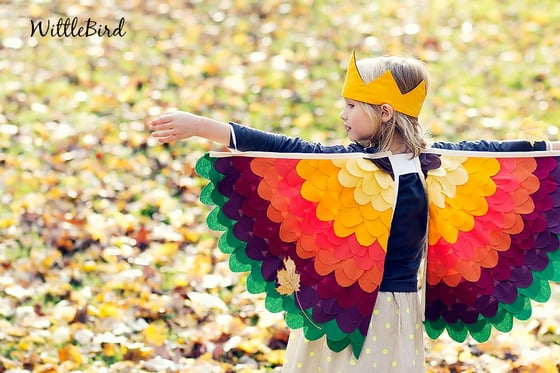 Image of Autumn Queen Wings