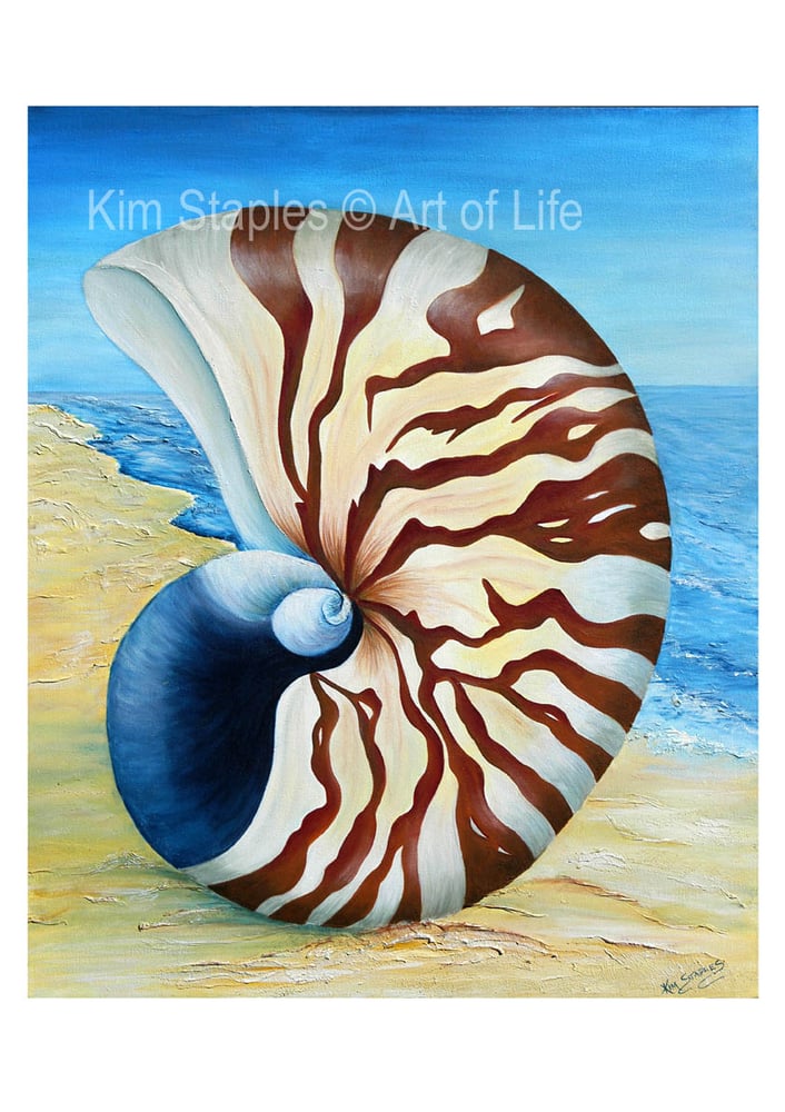 Image of Nautilus shell by the sea - PRINT