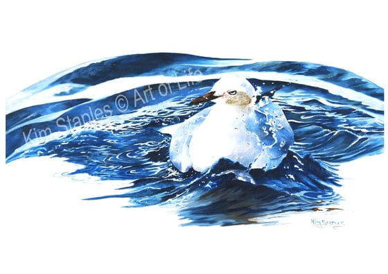 Image of Seagull bath time - PRINT