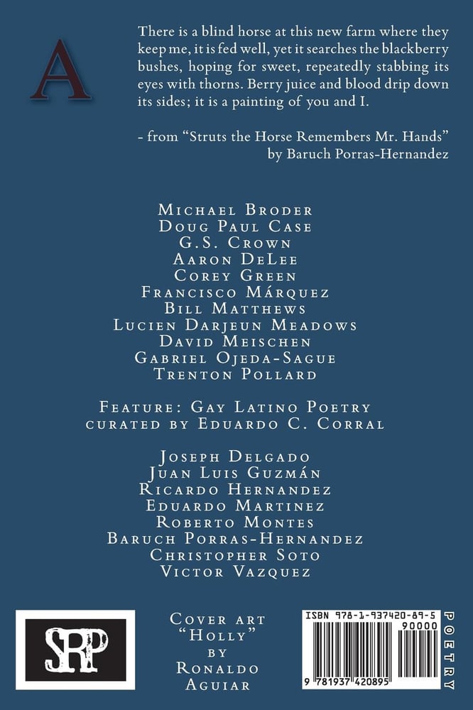 Image of Assaracus Issue 17: A Journal of Gay Poetry