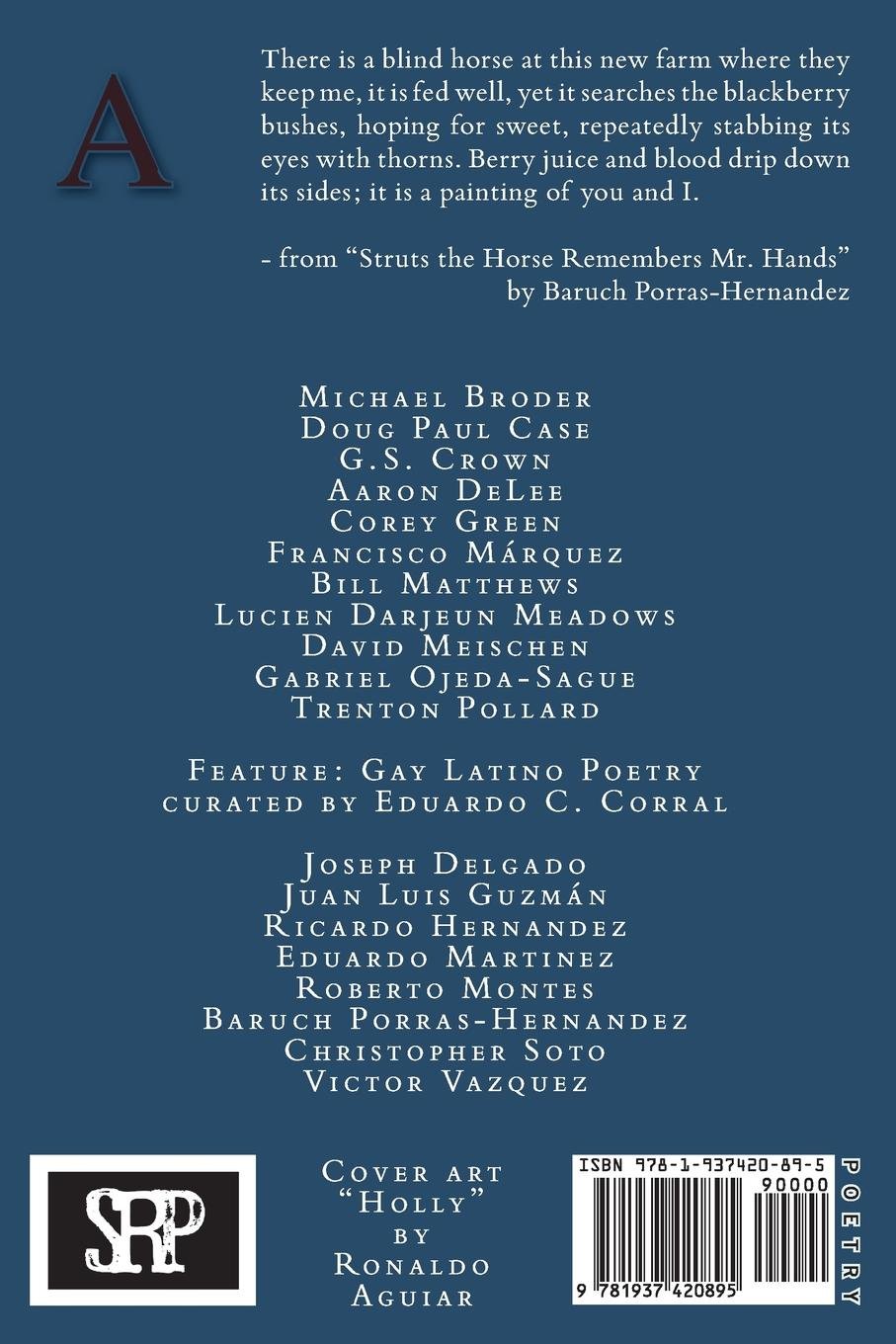 Image of Assaracus Issue 17: A Journal of Gay Poetry