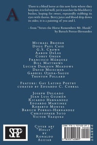 Image 2 of Assaracus Issue 17: A Journal of Gay Poetry