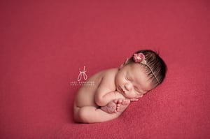 Image of November 12 & 13th - Intimate Newborn Mentoring Workshop Deposit