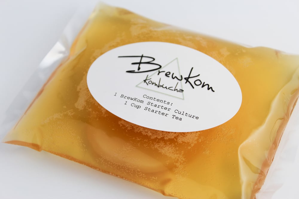 Image of Brewkom SCOBY