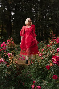 Image 1 of Holly Stalder Crimson Rose Layered Organza Dress 