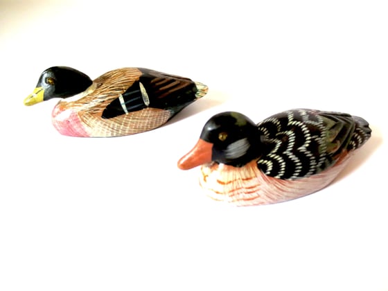 Image of Mandarin Ducks