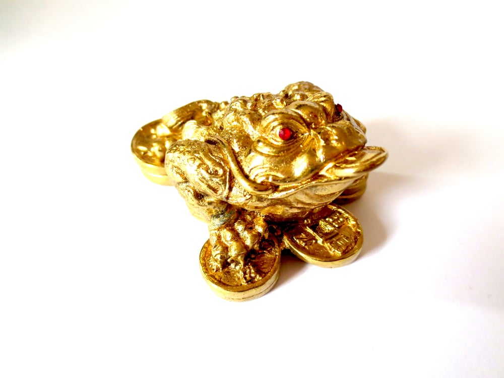 Image of Gold Feng Shui Money Frog with Coin