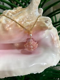Image 2 of Scallop Shell Necklace N206