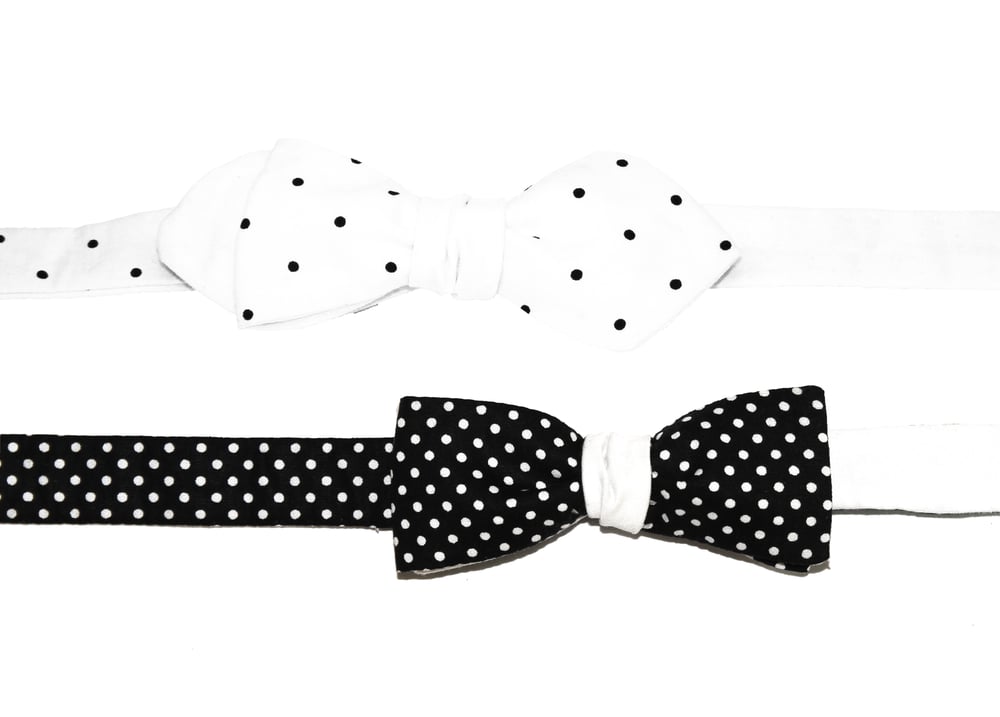 Image of The Dalmatians