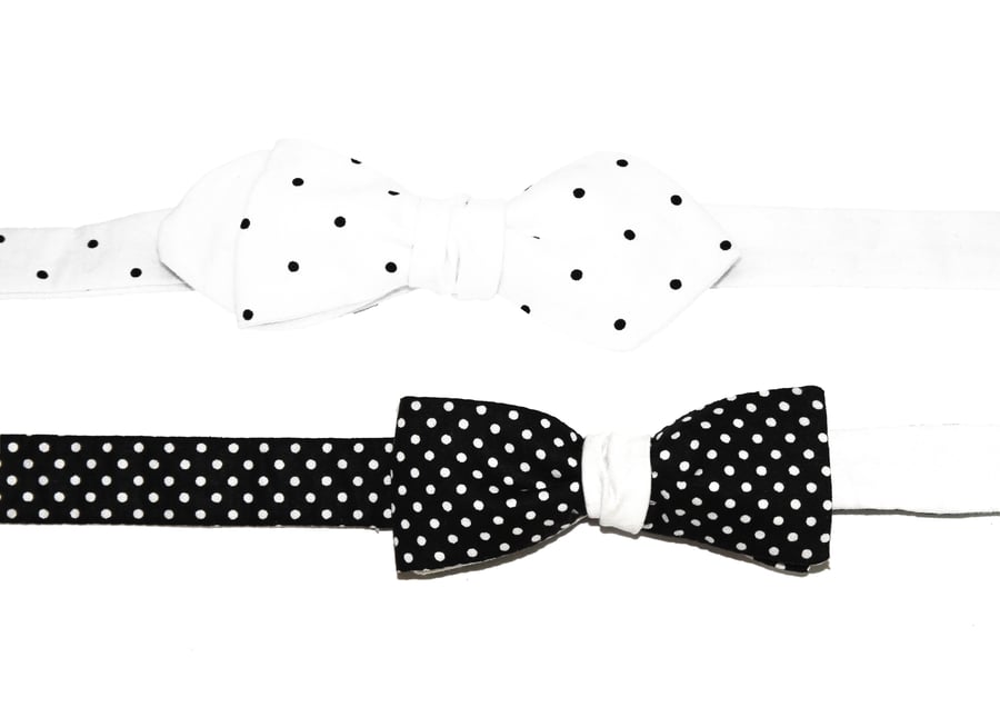 Image of The Dalmatians
